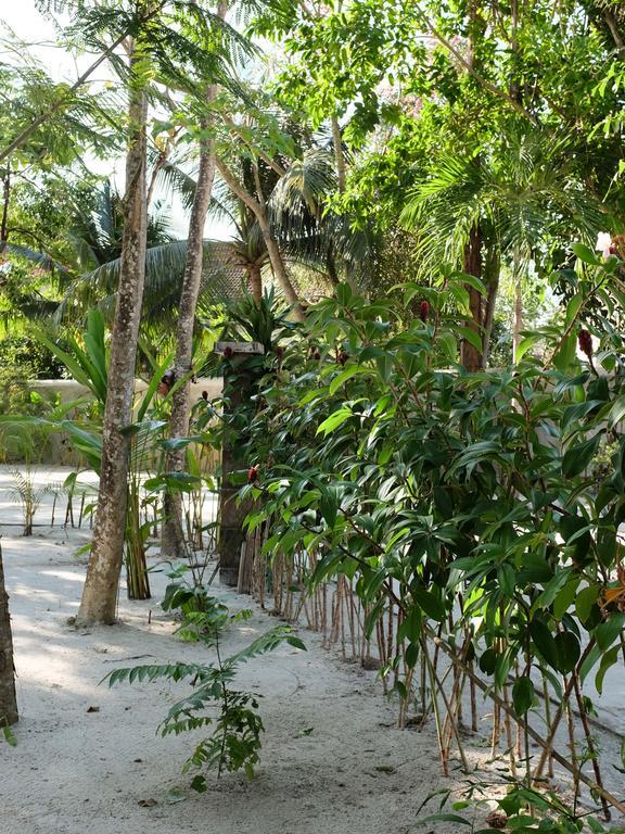 Rumah Jah Langkawi 판타이체낭 외부 사진